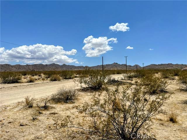 Joshua Tree, CA 92252,5 Sunfair