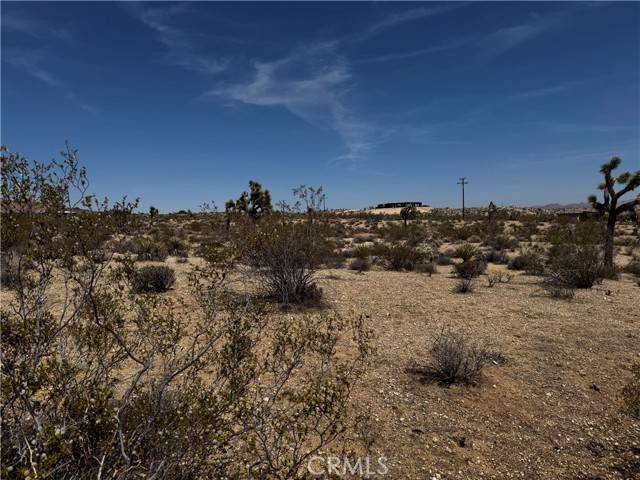 Yucca Valley, CA 92284,0 Anita