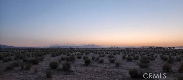 Joshua Tree, CA 92252,0 Cascade
