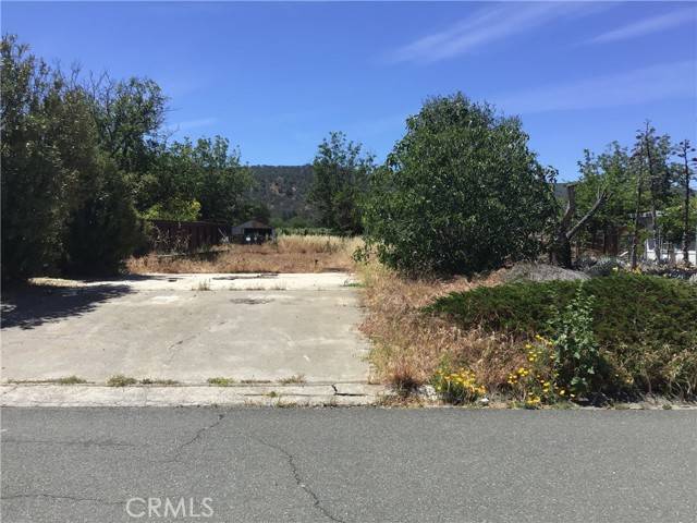 Clearlake Oaks, CA 95423,14134 Chestnut