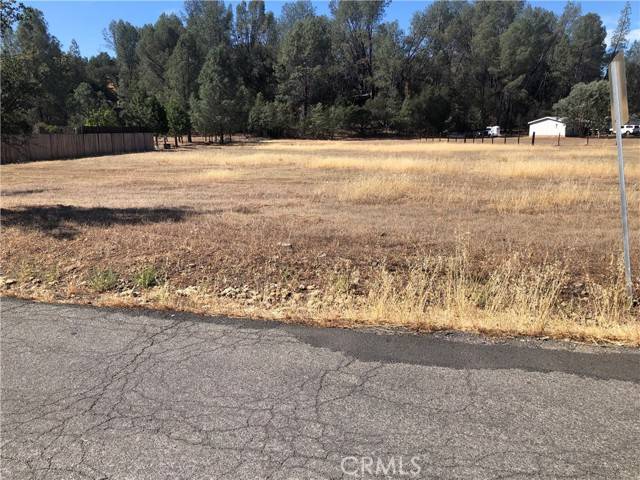 Clearlake Oaks, CA 95423,3025 Spring Valley