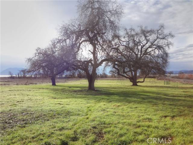 Nice, CA 95464,2175 Point Land Farms