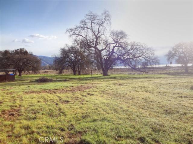 Nice, CA 95464,2175 Point Land Farms