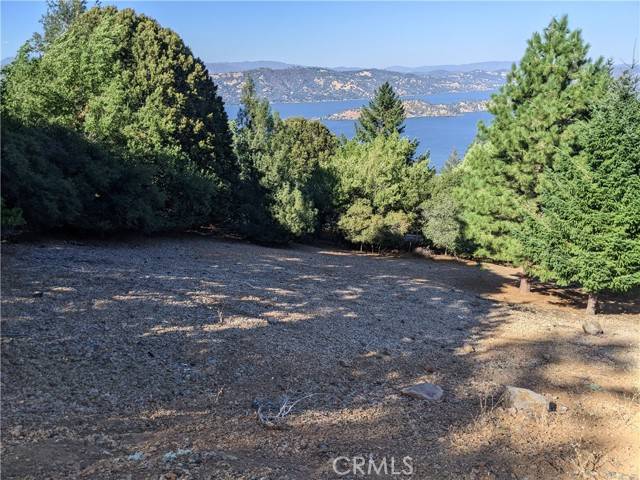 Kelseyville, CA 95451,8196 Broadview