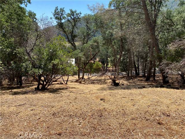 Kelseyville, CA 95451,2671 Greenway