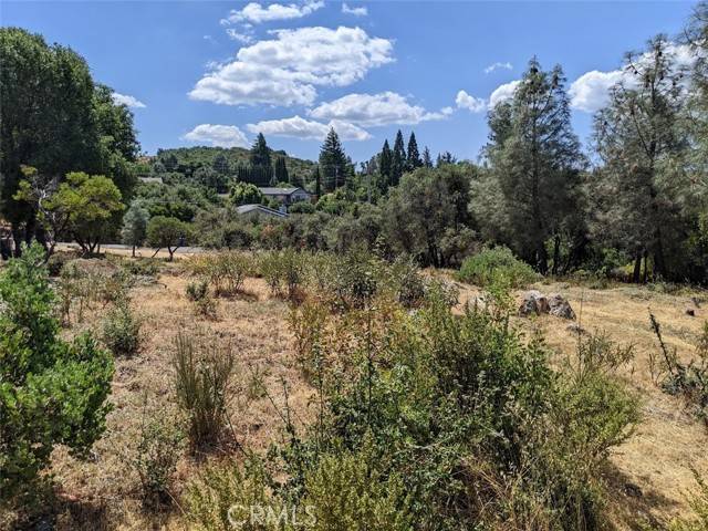 Kelseyville, CA 95451,9709 Tenaya