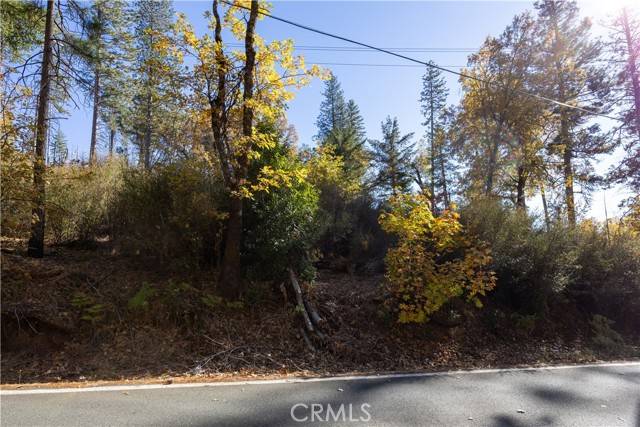 Cobb, CA 95426,10981 Gifford Springs