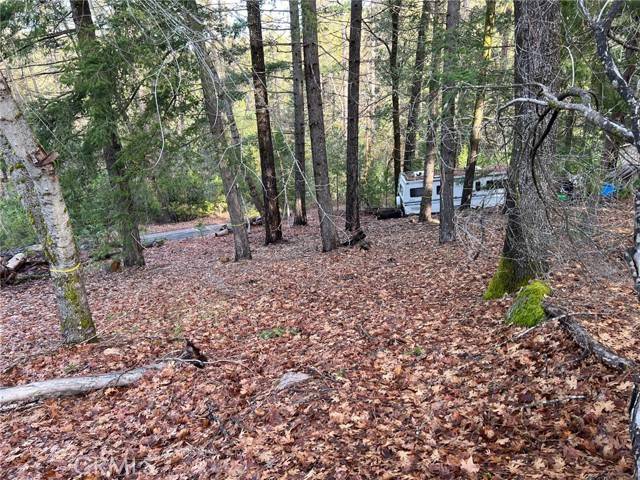Loch Lomond, CA 95461,10280 Mulberry