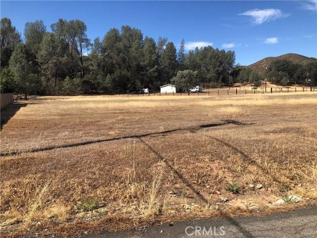 Clearlake Oaks, CA 95423,3025 Spring Valley