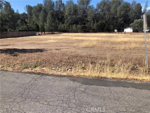 Clearlake Oaks, CA 95423,3025 Spring Valley