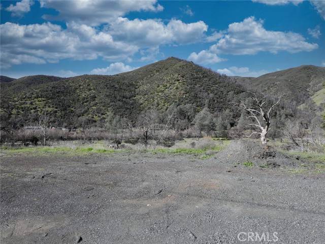 Clearlake Oaks, CA 95423,16095 Quail