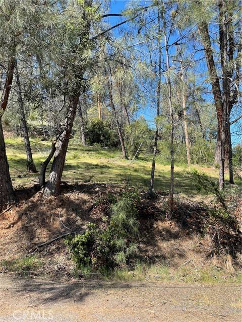 Kelseyville, CA 95451,4736 Kaweah