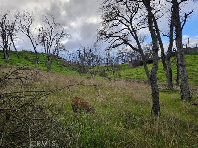 Lower Lake, CA 95457,17150 Deer Park