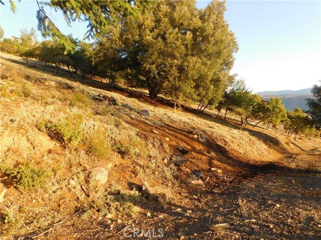 Kelseyville, CA 95451,8431 Mountain Crest