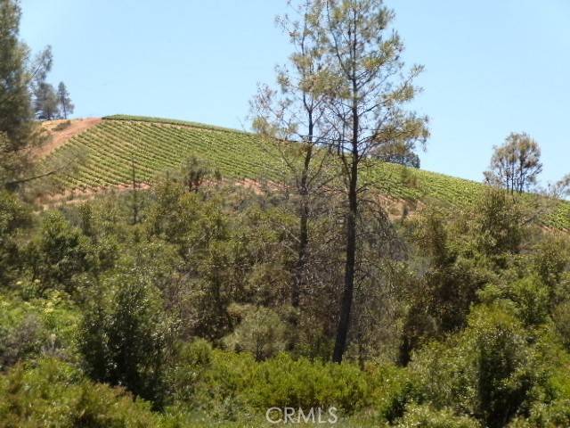 Clearlake Oaks, CA 95423,1105 Round Mountain Road