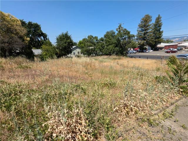 Lakeport, CA 95453,455 N Forbes