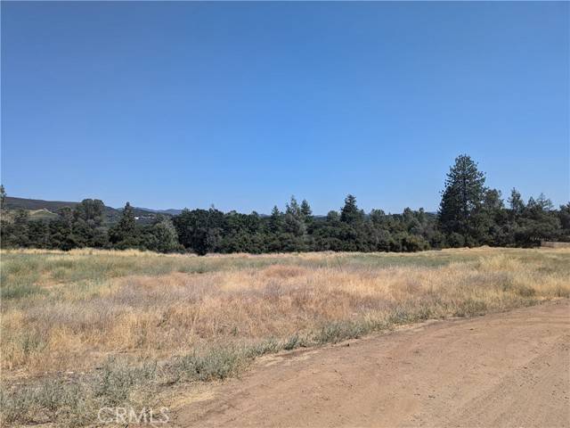 Clearlake, CA 95422,3569 Kakul