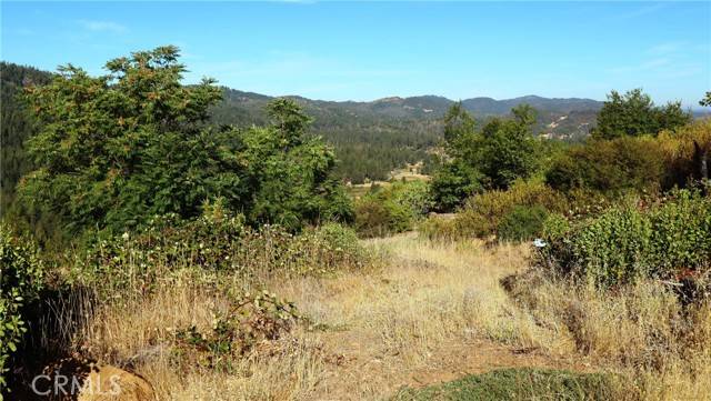 Cobb, CA 95426,15645 Summit