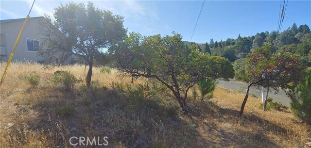 Kelseyville, CA 95451,9911 Emerald