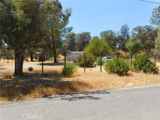 Clearlake Oaks, CA 95423,1845 Spring Valley Road