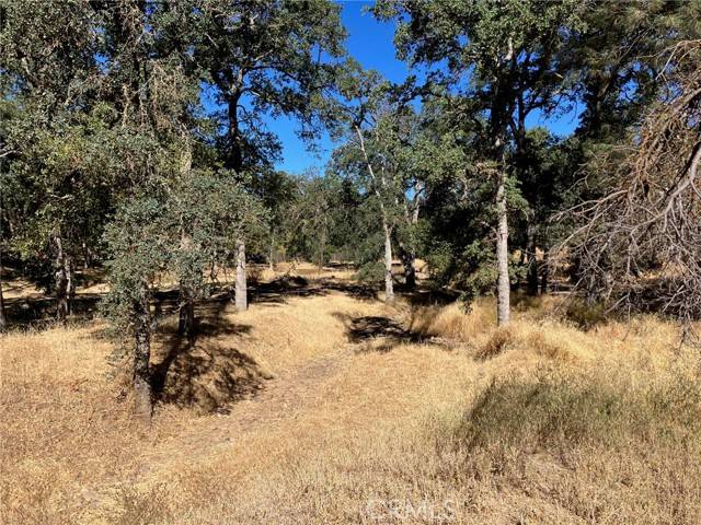 Clearlake, CA 95422,16108 36th