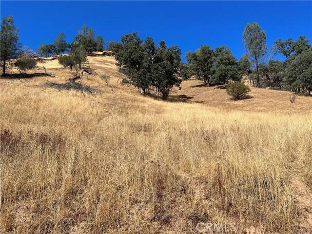 Clearlake Oaks, CA 95423,1988 New Long Valley