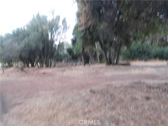 Clearlake, CA 95422,15773 22nd