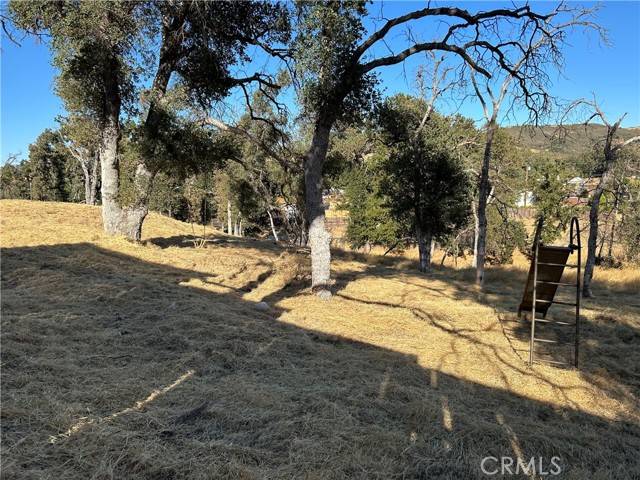 Lower Lake, CA 95457,17050 Meadowlark