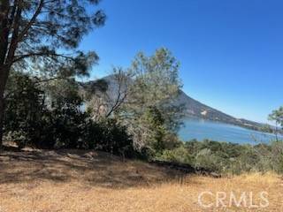 Clearlake Oaks, CA 95423,48 Sandalwood