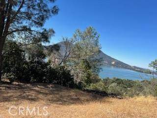 Clearlake Oaks, CA 95423,48 Sandalwood