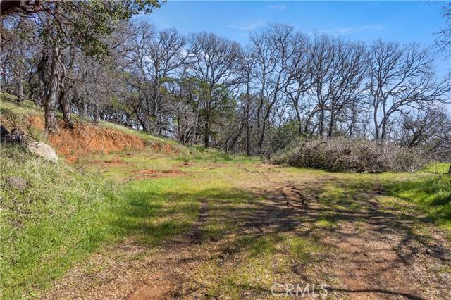 Kelseyville, CA 95451,8250 Little Borax Lake