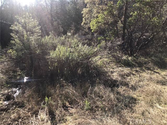 Loch Lomond, CA 95461,9660 Harrington Flat