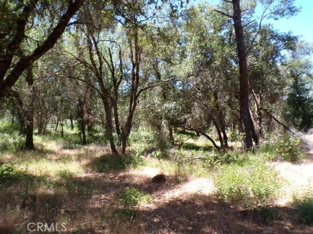 Clearlake Oaks, CA 95423,1105 Round Mountain