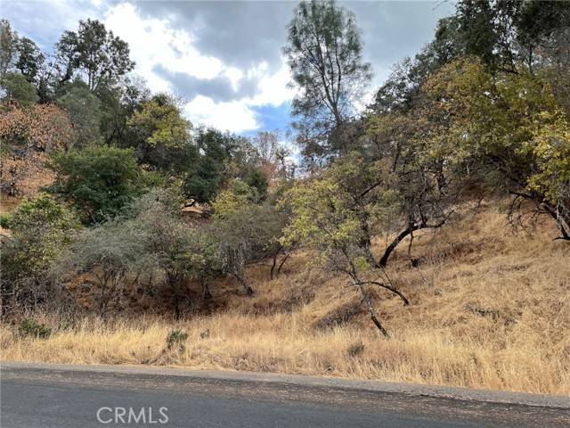Clearlake, CA 95422,11285 North