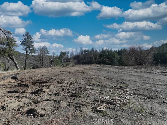 Cobb, CA 95426,13746 Adams Springs