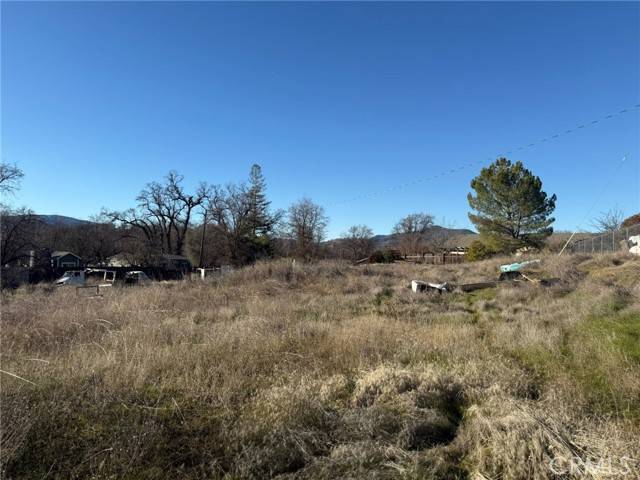 Upper Lake, CA 95485,1395 E State Highway 20
