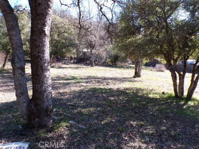 Kelseyville, CA 95451,5710 Maya