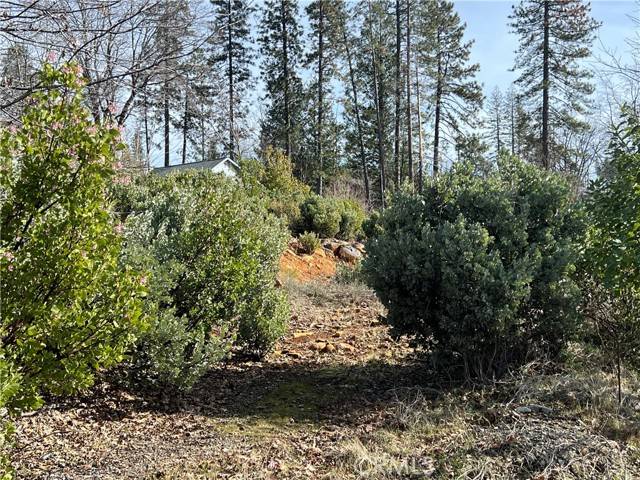Cobb, CA 95426,16070 Pine
