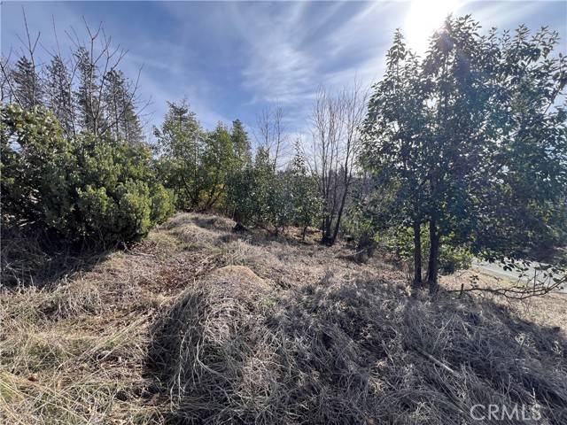 Cobb, CA 95426,16070 Pine
