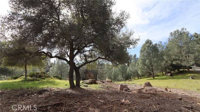 Kelseyville, CA 95451,4641 Hawaina