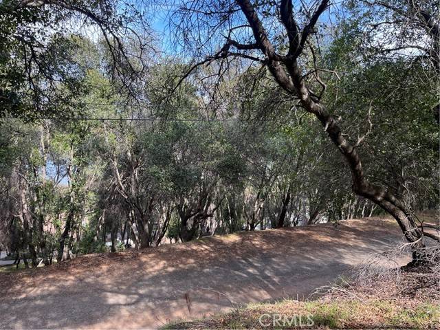 Kelseyville, CA 95451,8444 Soda Bay