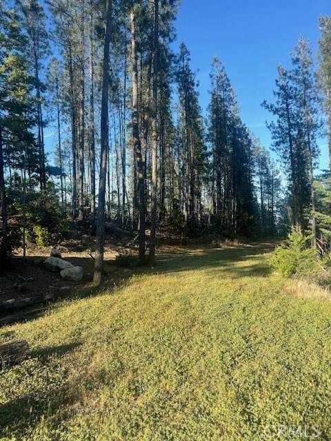 Middletown, CA 95461,12125 Dry Creek