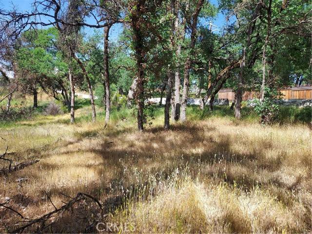 Clearlake, CA 95422,16113 13th