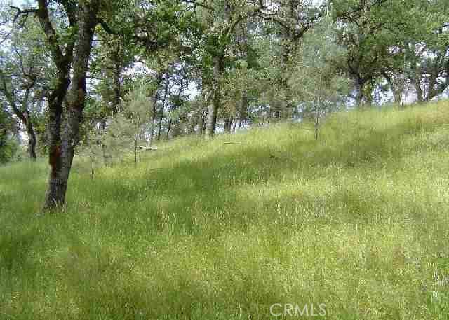 Clearlake Oaks, CA 95423,15709 Cache Creek