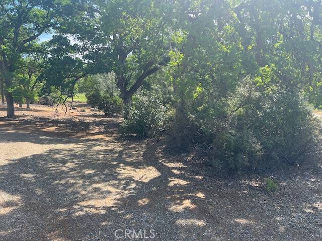 Clearlake, CA 95422,3588 Lincoln