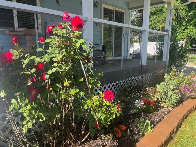 Lower Lake, CA 95457,17224 Mustang Court