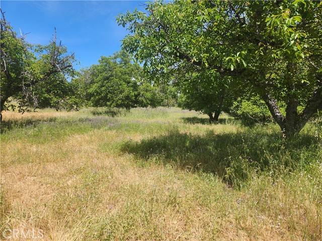 Lakeport, CA 95453,6755 Highland Springs