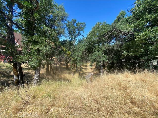 Hidden Valley Lake, CA 95467,17487 Meadow View
