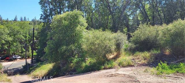 Middletown, CA 95461,11960 Loch Lomond