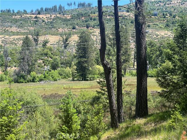 Cobb, CA 95426,15675 Bottle Rock